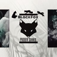 BlackFoxService