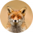 ProxyFoxy